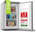 Stillstern Gefrierschrank Klein, Türanschlag r./l. Tiefkühlschrank R600A Silber, 73 l, Stufenlos reg. Temp., Kleine Tiefkühltruhe